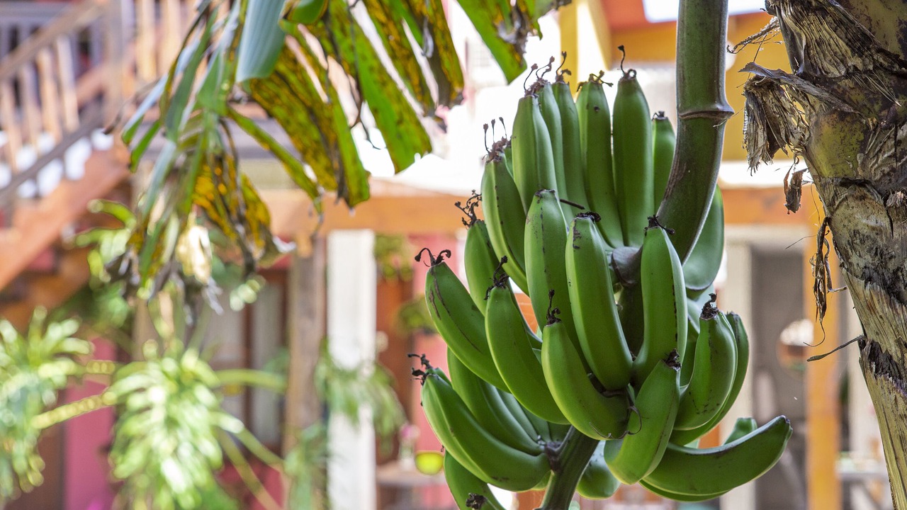 Photo of Outdoor in Maresias