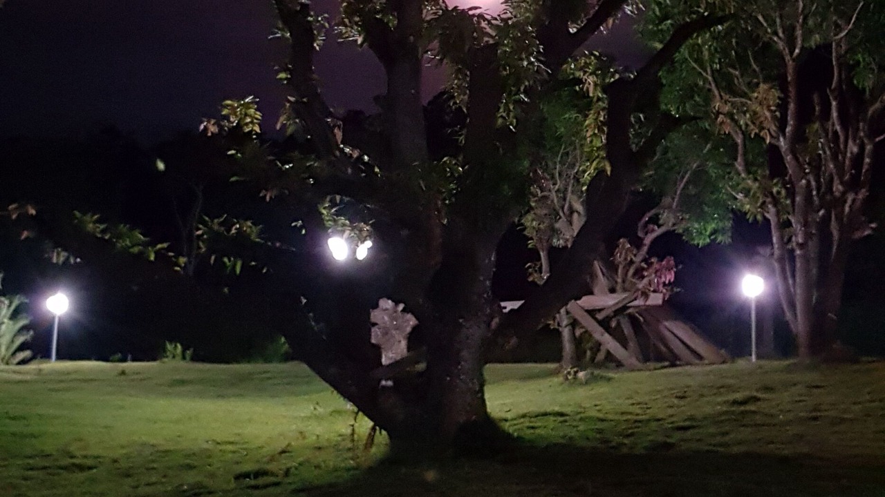 Photo of Outdoor in Piracaia