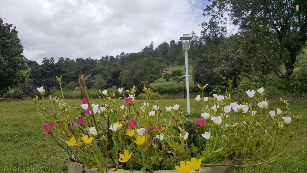 Photo of Outdoor in Piracaia