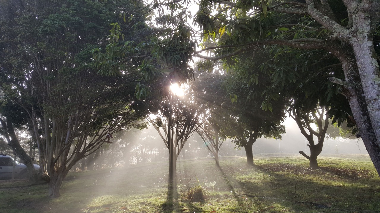 Photo of Outdoor in Piracaia