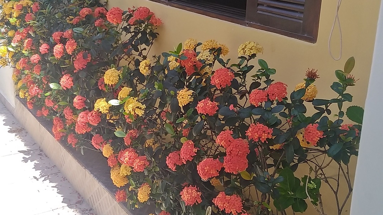 Photo of Outdoor in Cidade Nova Peruibe