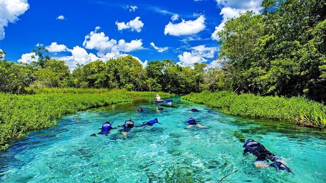 Photo of Others in Bonito