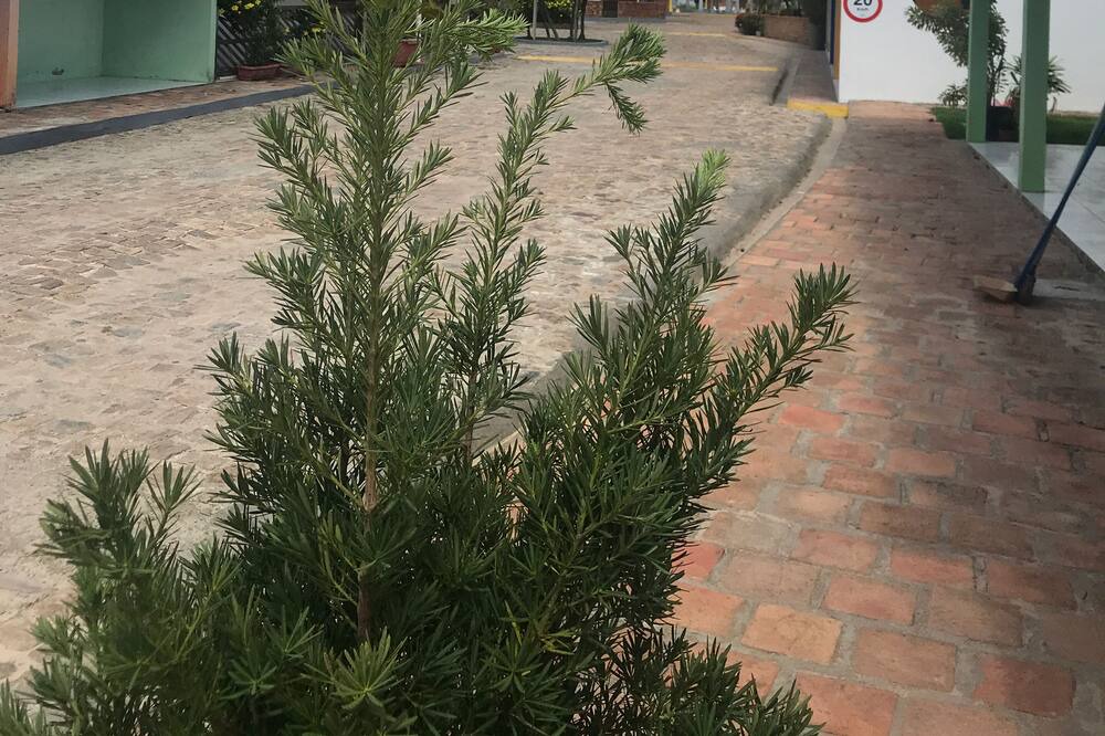Photo of Outdoor in Barreirinhas