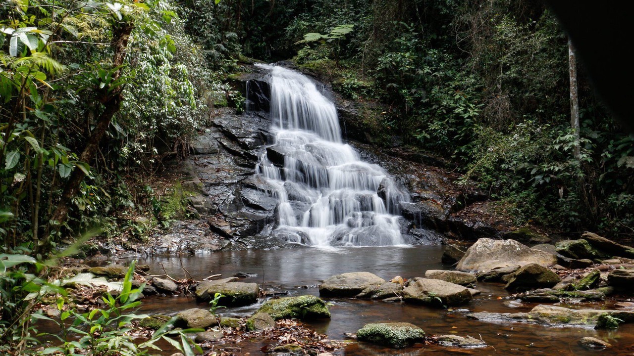 Photo of Others in Pindamonhangaba