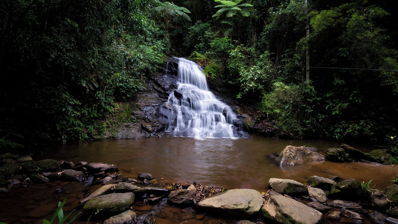 Photo of Others in Pindamonhangaba