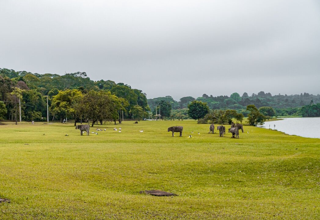 Photo of Others in Sao Roque