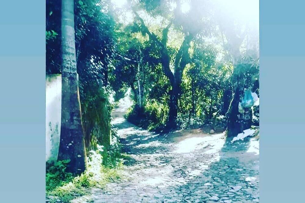 Photo of Outdoor in Guaramiranga