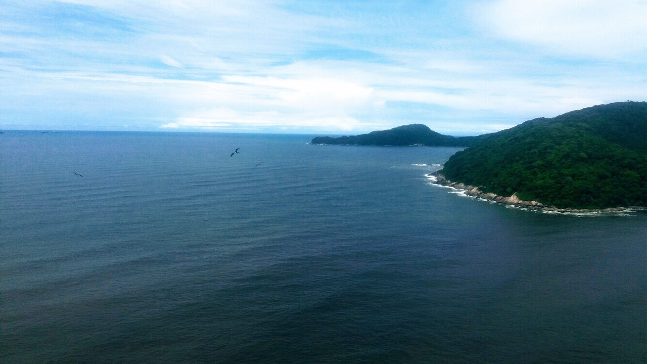 Photo of Others in Porchat Island