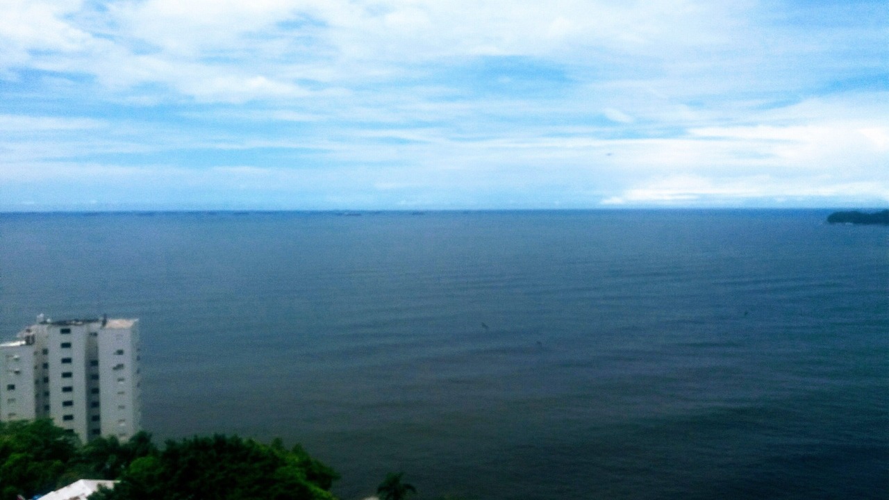 Photo of Others in Porchat Island