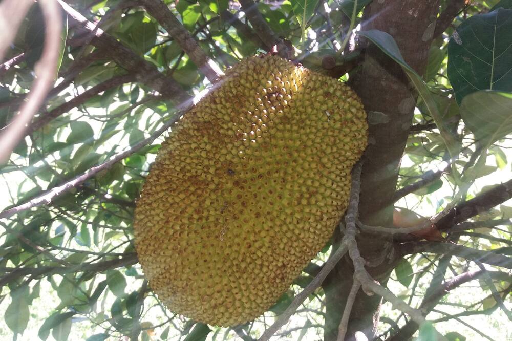Photo of Outdoor in Caiocara