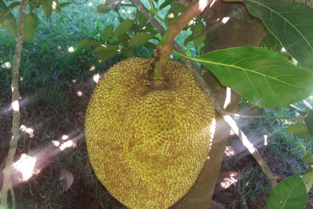 Photo of Outdoor in Caiocara