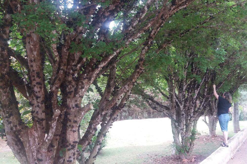 Photo of Outdoor in Caiocara