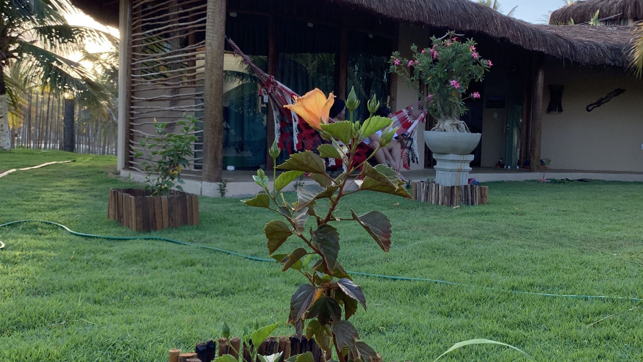 Photo of Outdoor in Coruripe