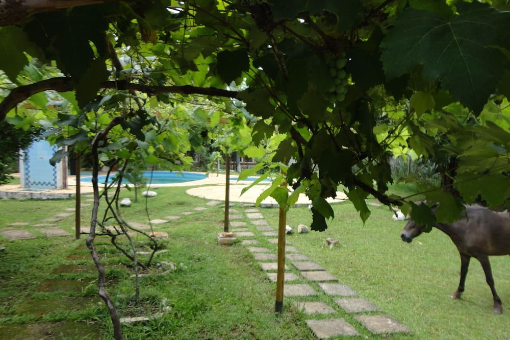Photo of Outdoor in Batatuba