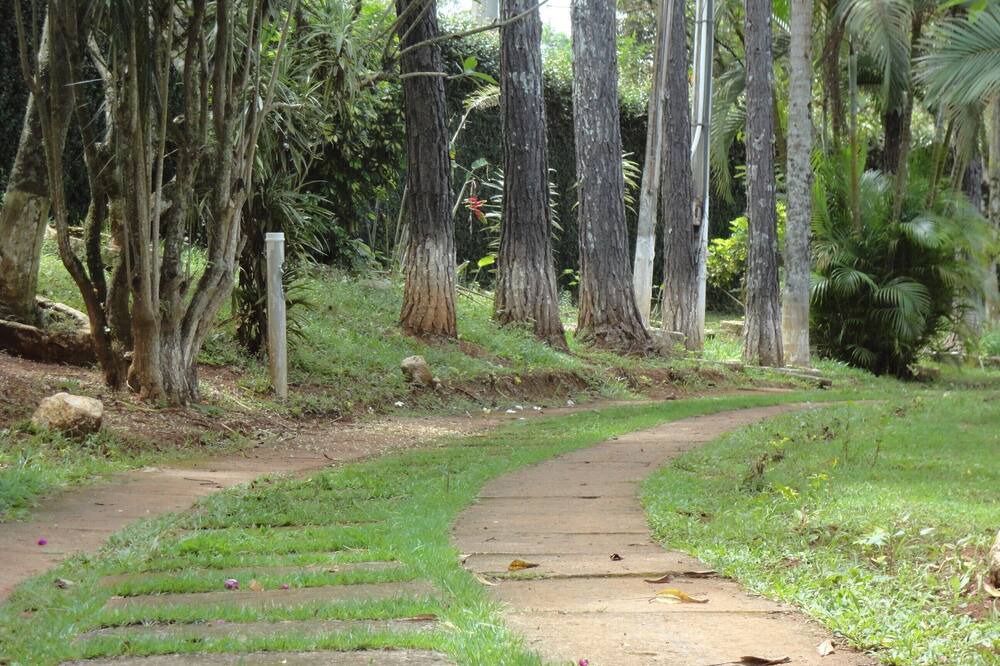 Photo of Outdoor in Batatuba