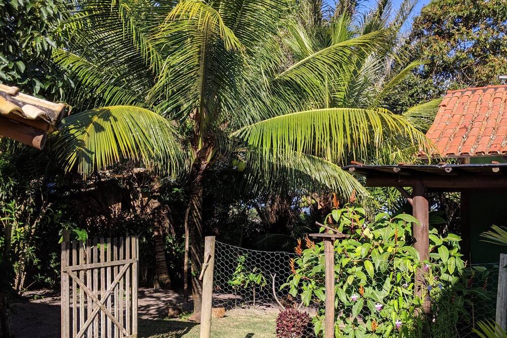 Photo of Outdoor in Barra Grande