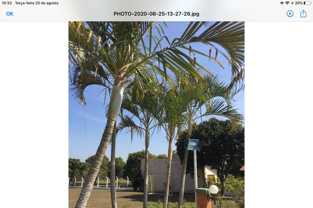 Photo of Others in Sao Pedro
