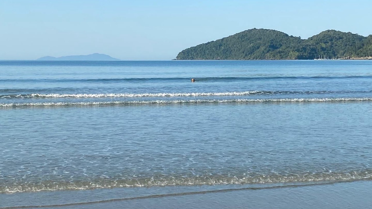 Photo of Others in Praia da Enseada