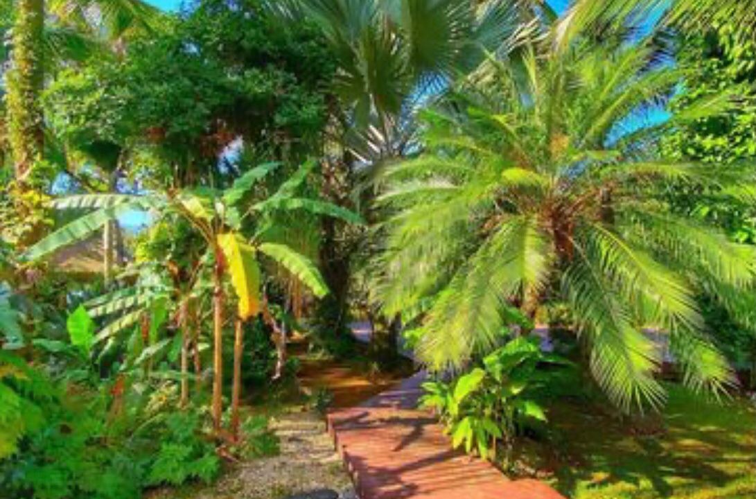 Photo of Outdoor in Barra do Una