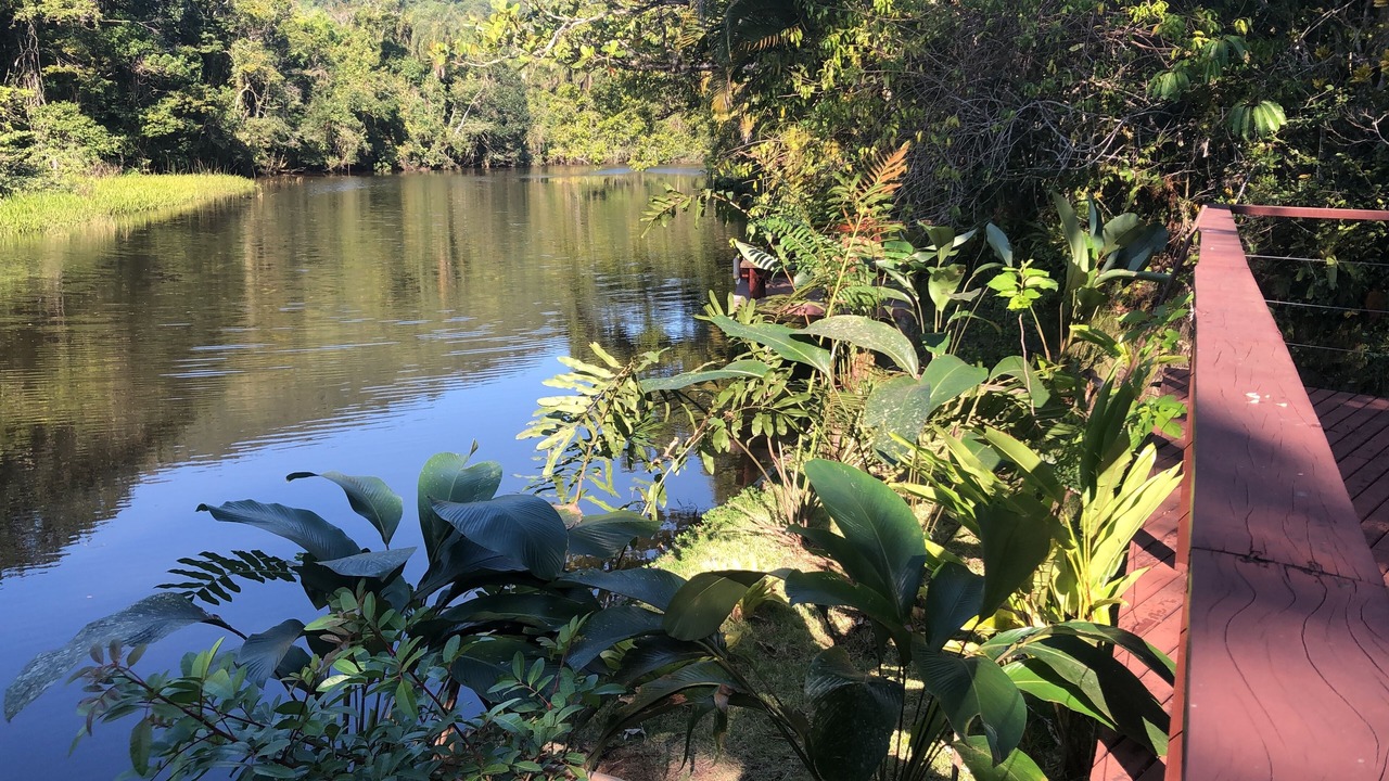 Photo of Outdoor in Barra do Una