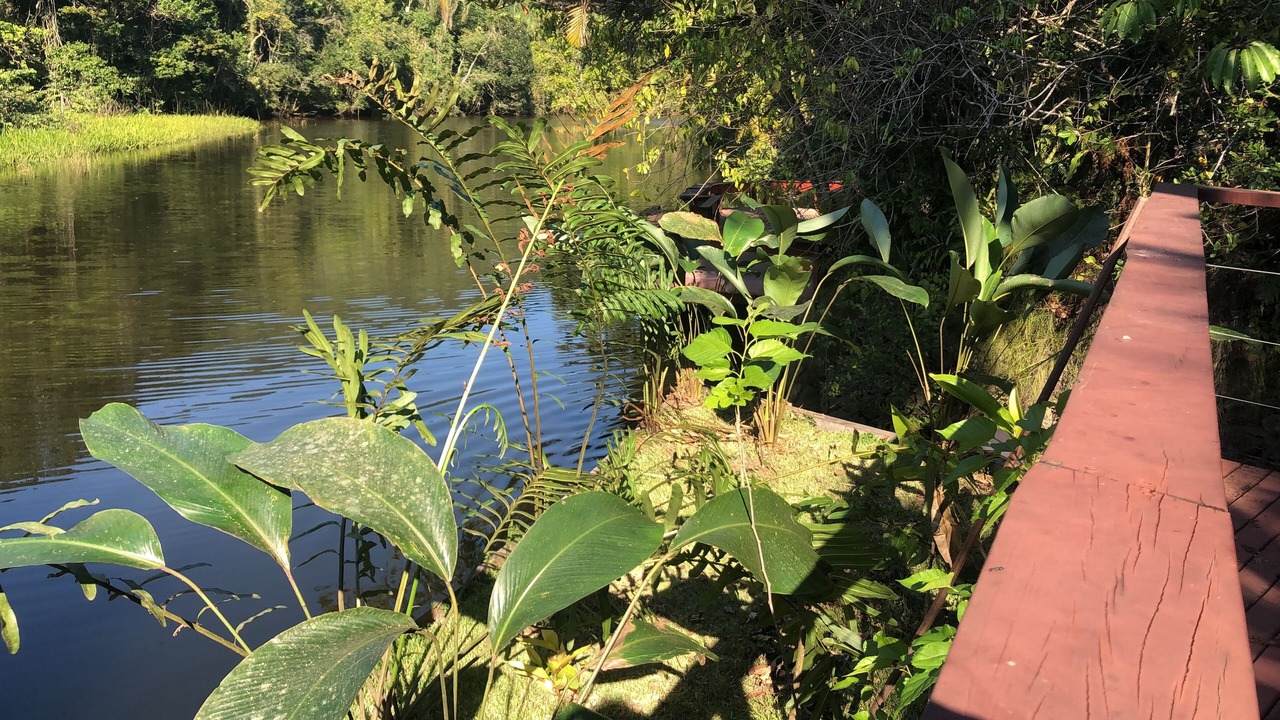 Photo of Outdoor in Barra do Una
