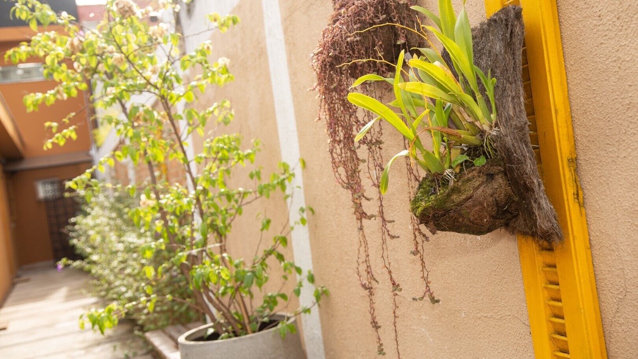 Photo of Outdoor in Vila Madalena
