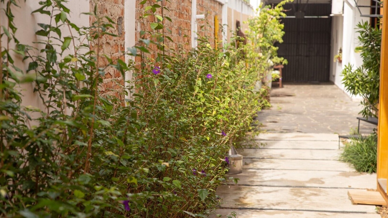 Photo of Outdoor in Vila Madalena