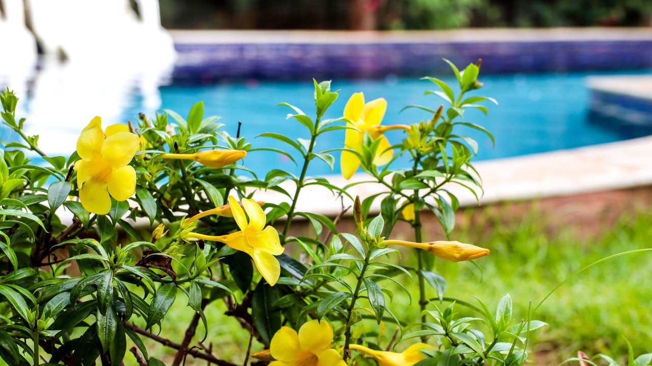 Photo of Outdoor in Juazeiro do Norte