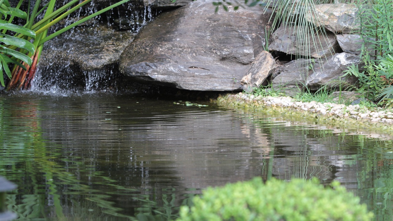 Photo of Outdoor in Bonito