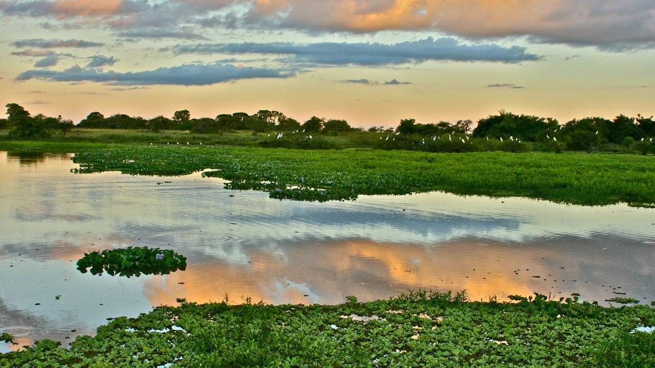 Photo of Outdoor in Colonia Carlos Pellegrini