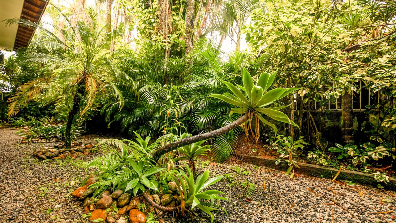 Photo of Outdoor in Lagoa da Conceicao