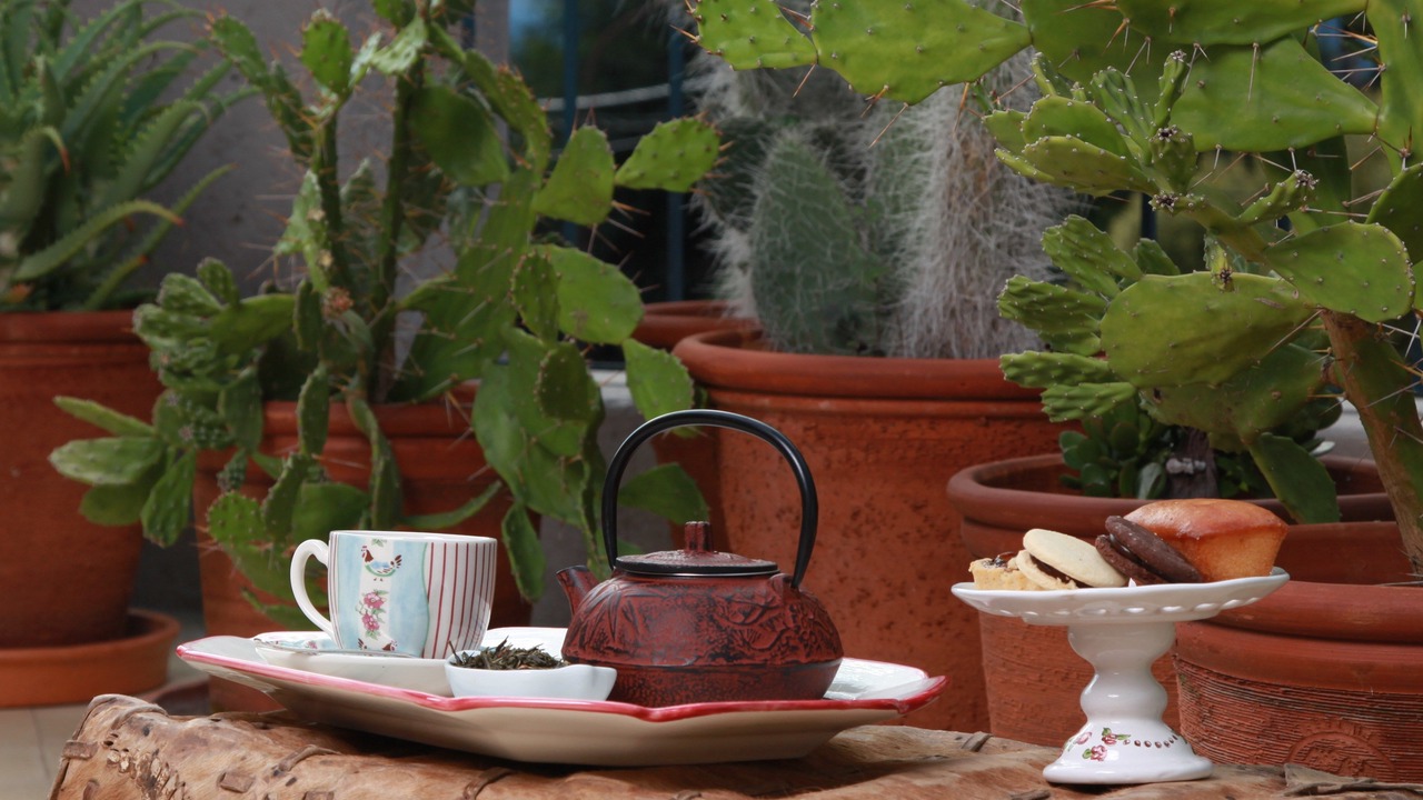 Photo of Outdoor in Salta