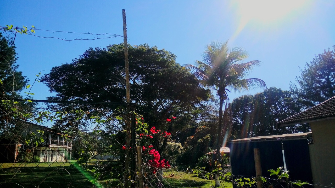 Photo of Outdoor in Sao Pedro