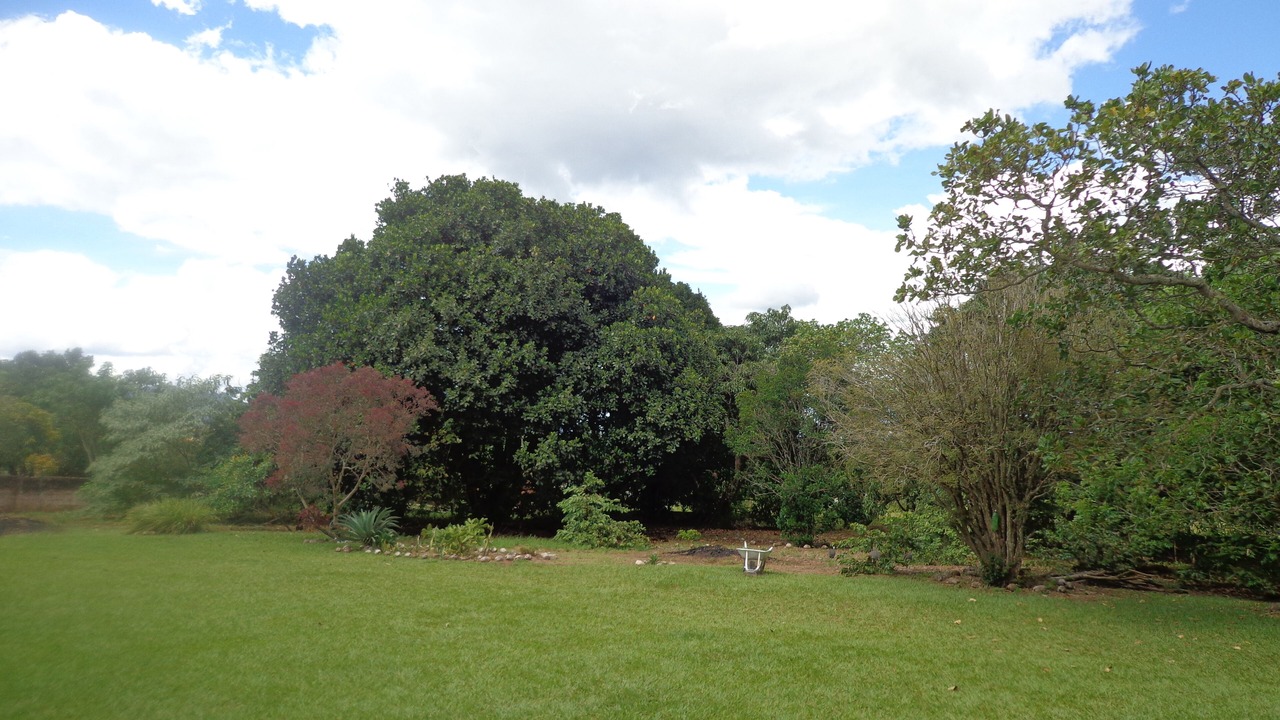 Photo of Outdoor in Sao Pedro
