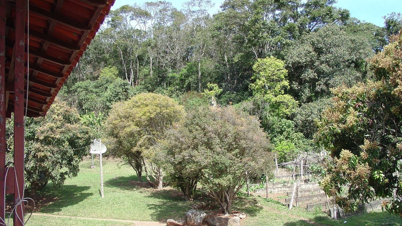 Photo of Outdoor in Braganca Paulista