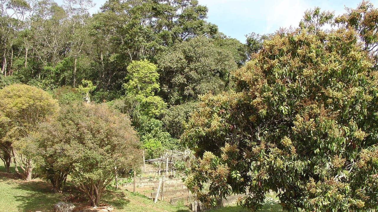 Photo of Outdoor in Braganca Paulista