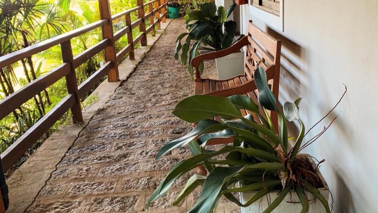 Photo of Outdoor in Veloso