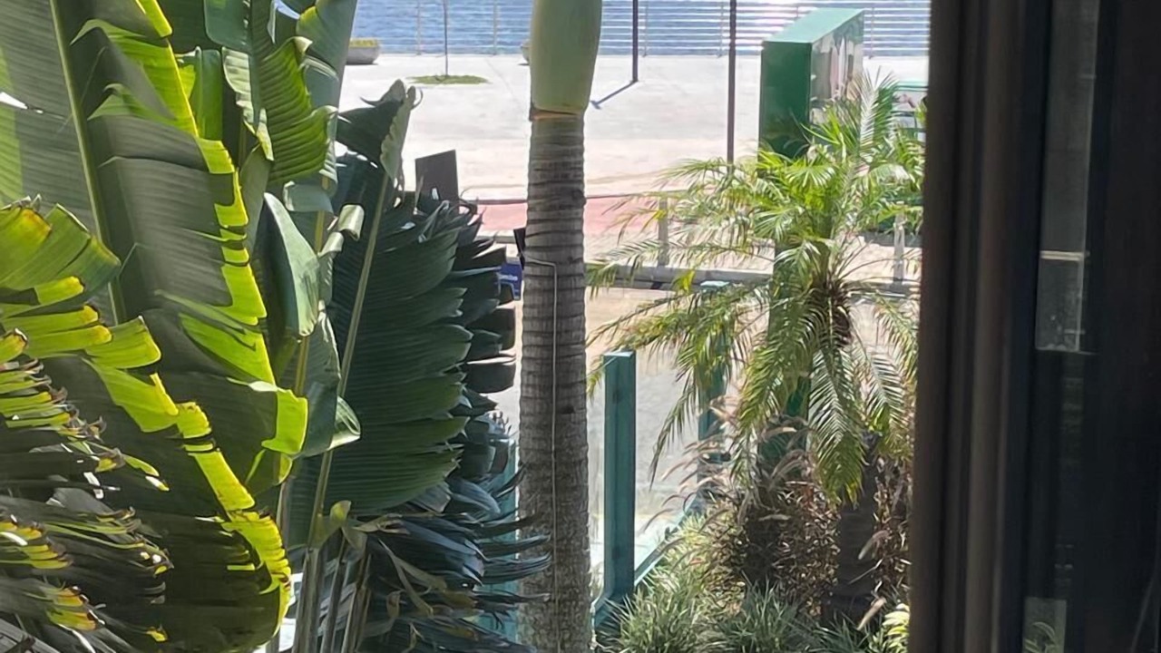 Photo of Others in Torres
