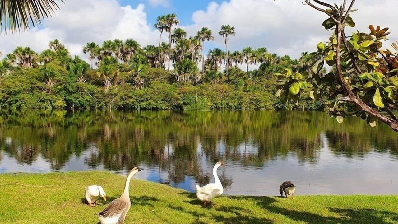 Photo of Outdoor in Barreirinhas