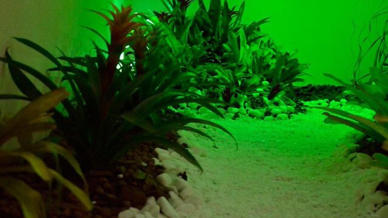 Photo of Outdoor in Guanhaes