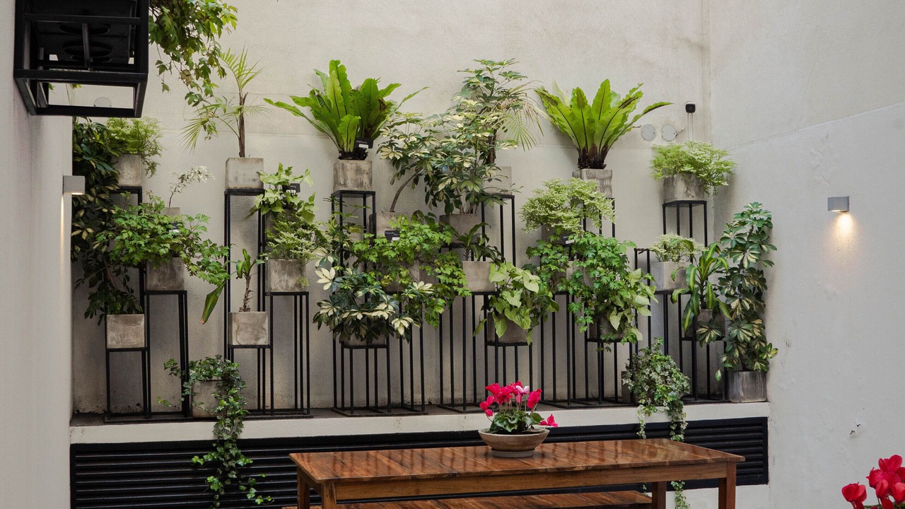Photo of Patio Balcony in Buenos Aires Central Business District