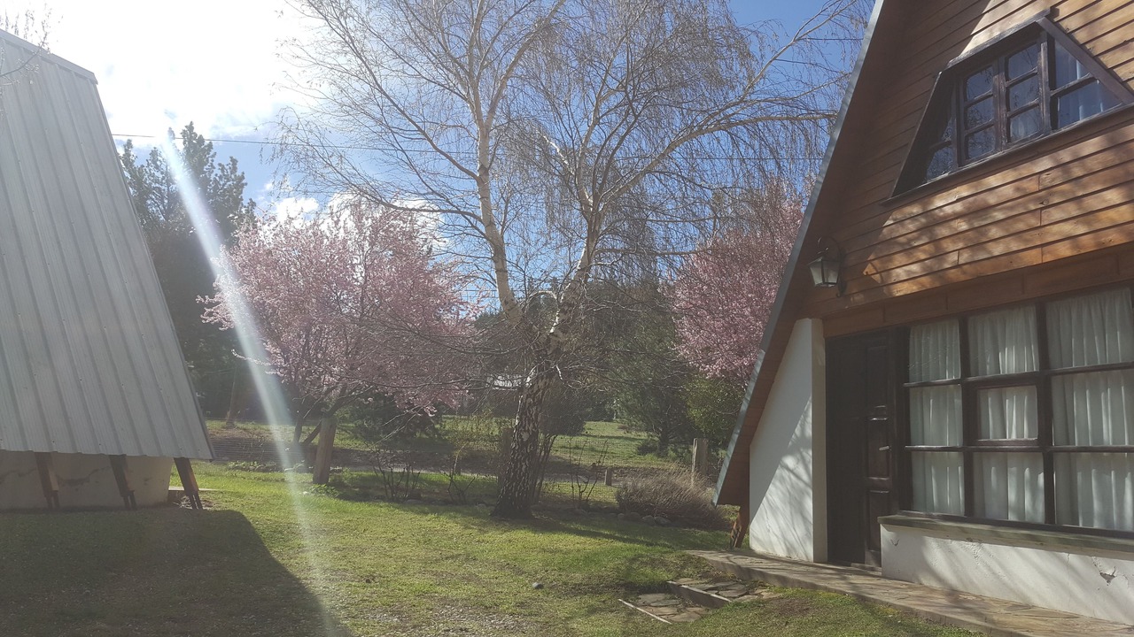 Photo of Bedroom in Esquel