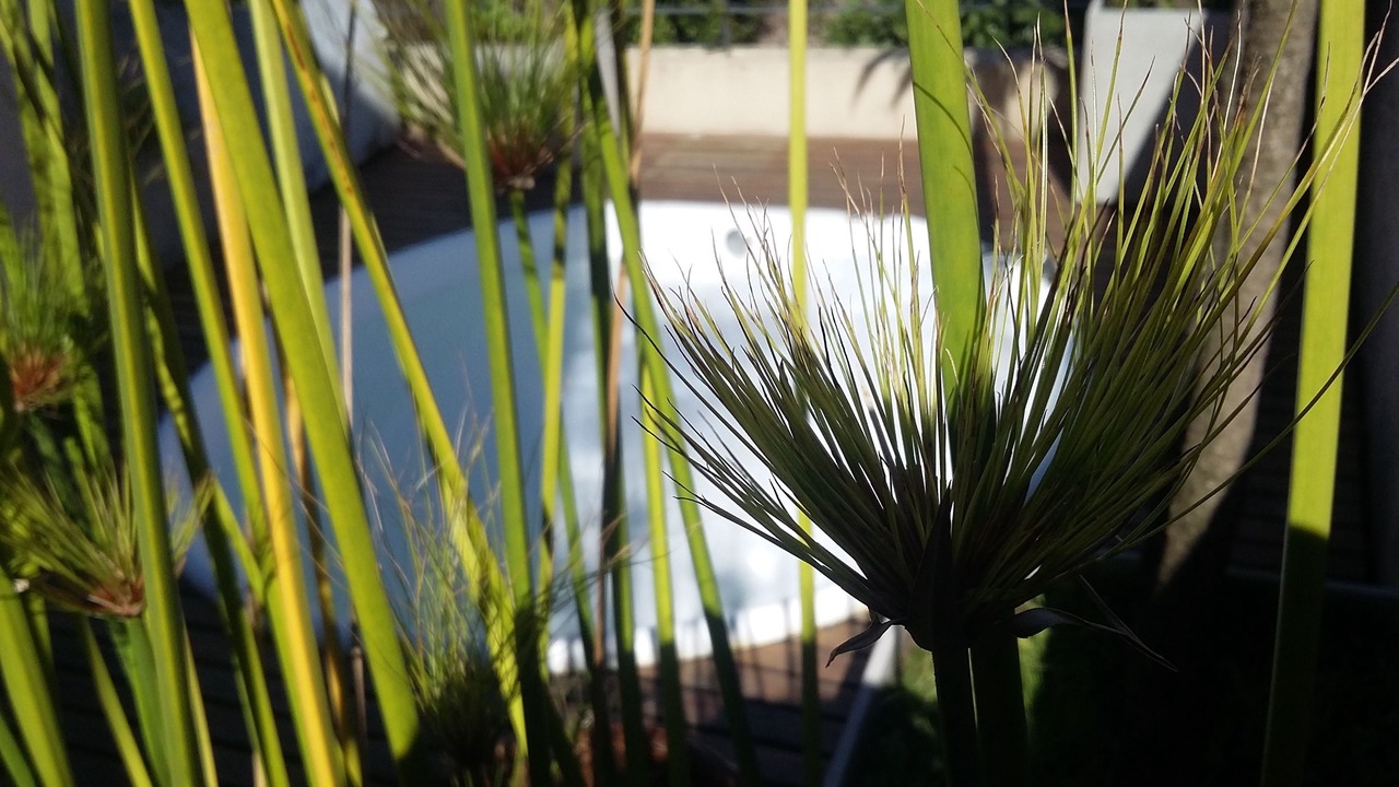 Photo of Outdoor in Palermo