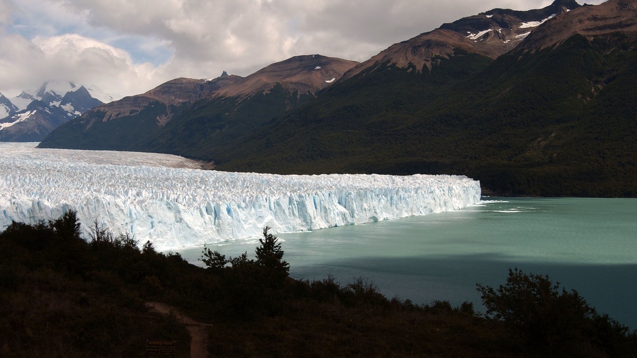 Photo of Others in Macrozona Meseta Cerro Calafate