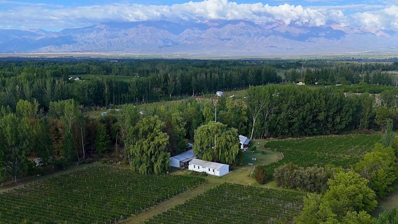 Photo of Outdoor in Tunuyan