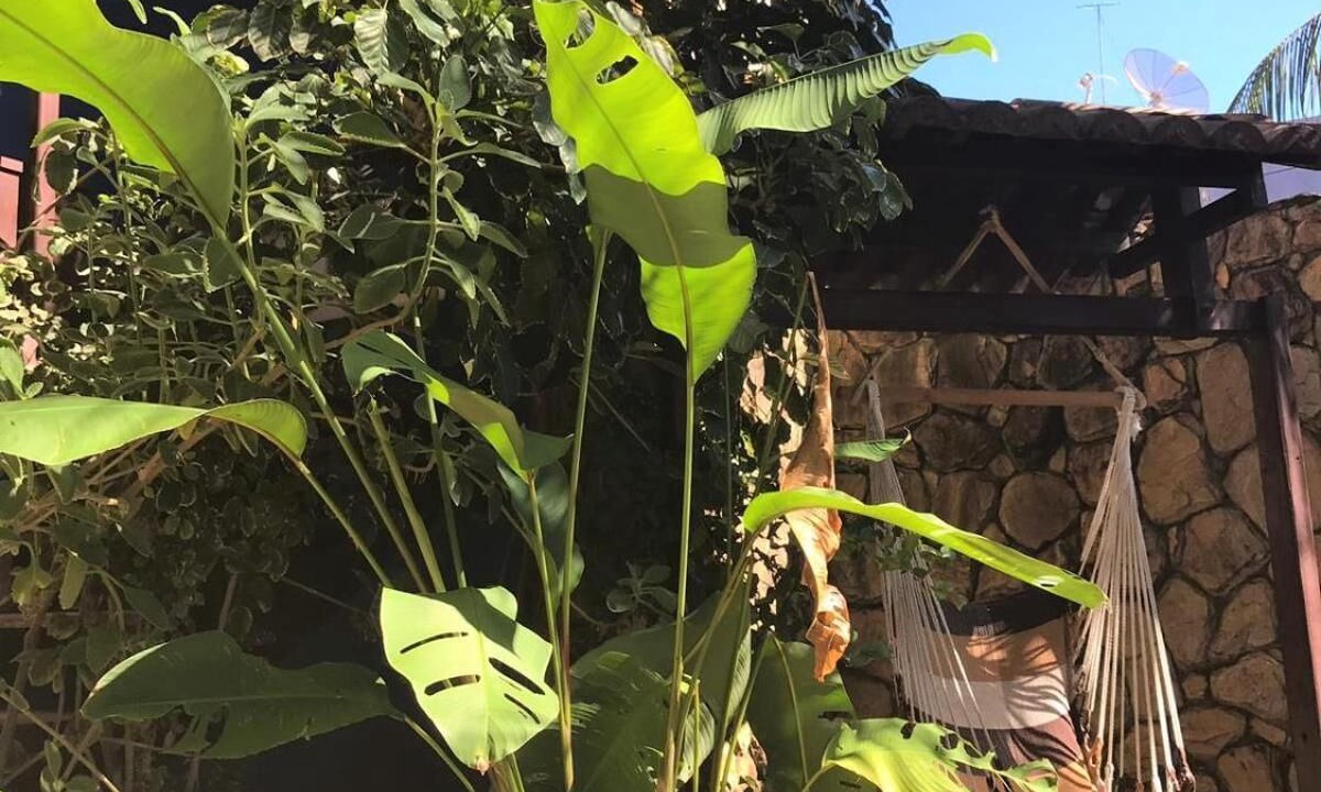 Photo of Outdoor in Pipa