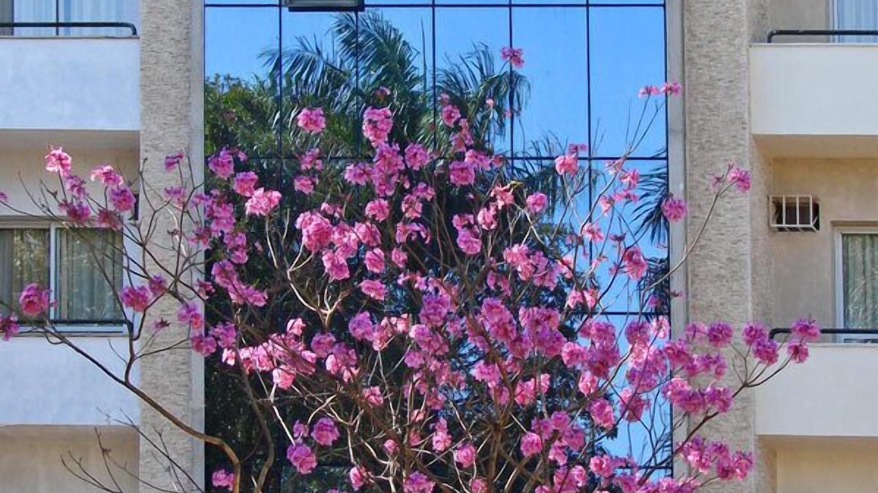 Photo of Outdoor in Jau