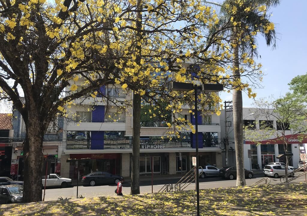 Photo of Outdoor in Jau