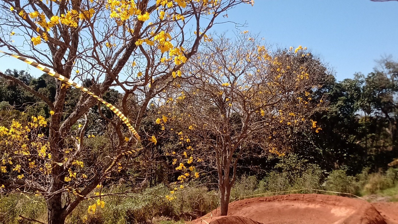 Photo of Outdoor in Aguas de Lindoia