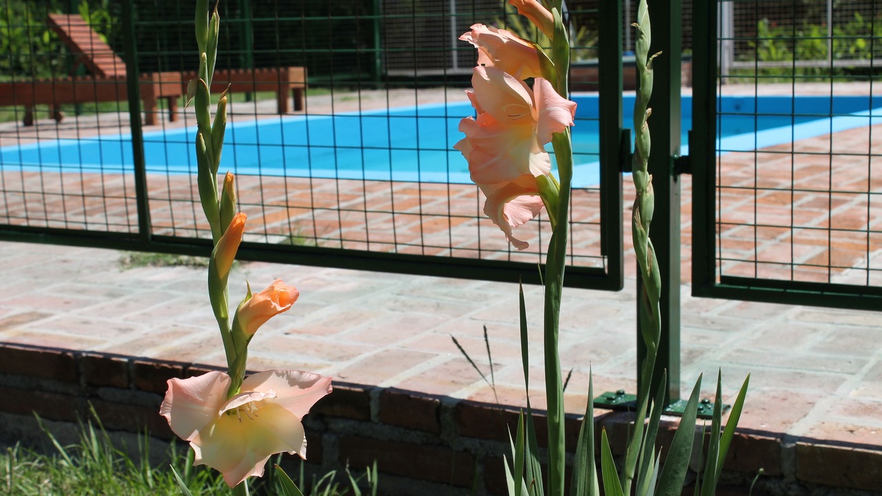 Photo of Outdoor in Nono